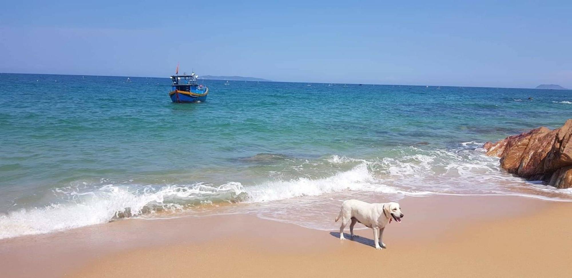 Life'S A Beach Quy Nhơn Exterior foto